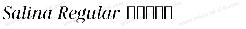 Salina Regular字体转换